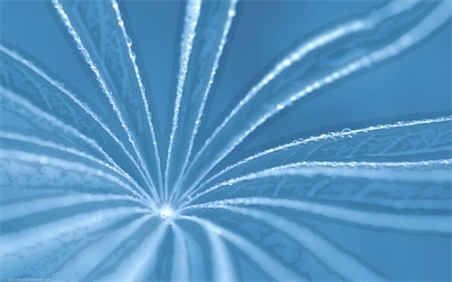火车退票扣多少手续费,火车票退票须注明变更经由××站